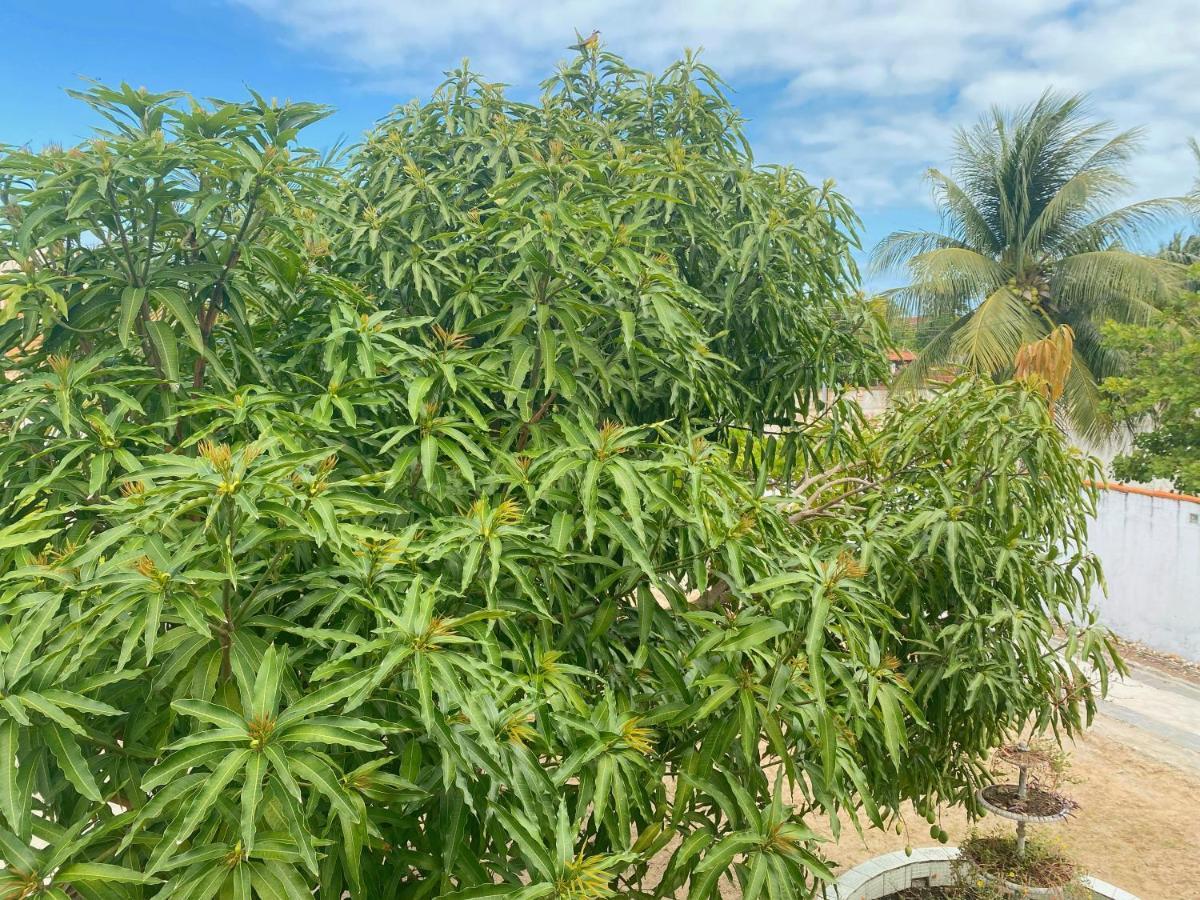 Sol, Mar E Privacidade * Aracaju